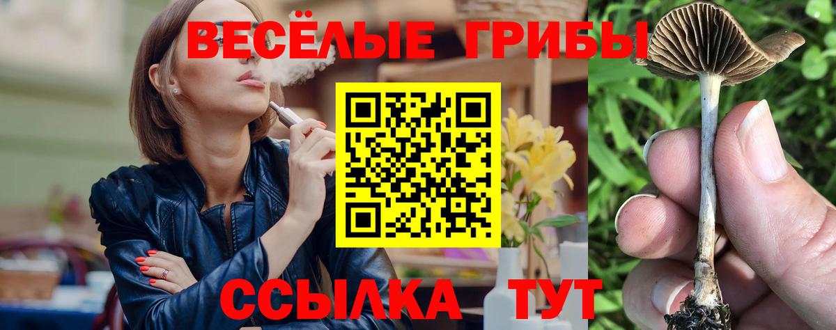 Галлюциногенные грибы прущие грибы  Вход с VPN  Люберцы 