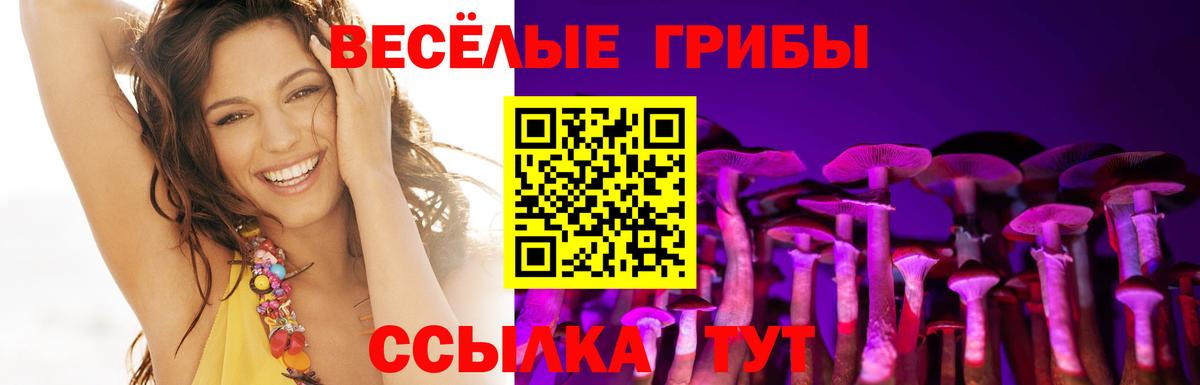 Галлюциногенные грибы Magic Shrooms Люберцы